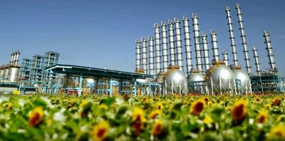 Xinte Energy’s polysilicon plant in Urumqi, Xinjiang with sunflowers in the foreground