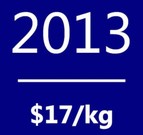 Polysilicon spot price average in 2013: $17/kg